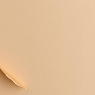 Kraft paper with moisture liner