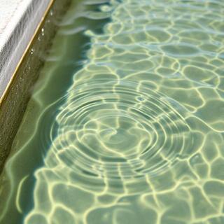 Clean water trough with float valve