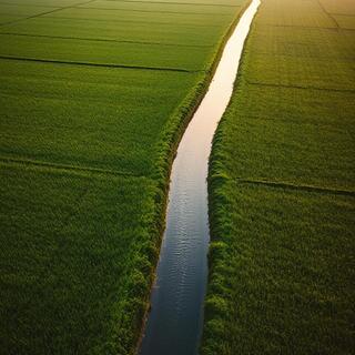 Irrigation canals threading through fields