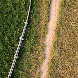 Fenced lane between paddocks
