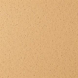 Cork board texture with pushpins